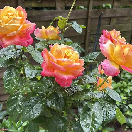 Villa Maison De Famille Chaleureuse Et Elegante