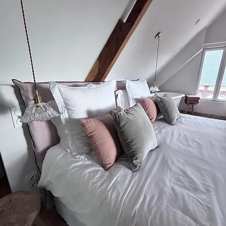 ヴィラ Maison De Famille Chaleureuse Et Elegante