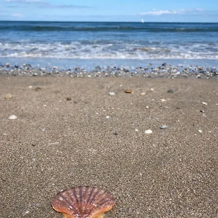 Maison De Famille Chaleureuse Et Elegante Trouville-sur-Mer