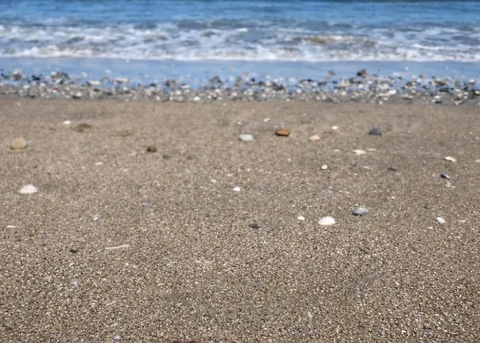 Maison De Famille Chaleureuse Et Elegante Trouville-sur-Mer